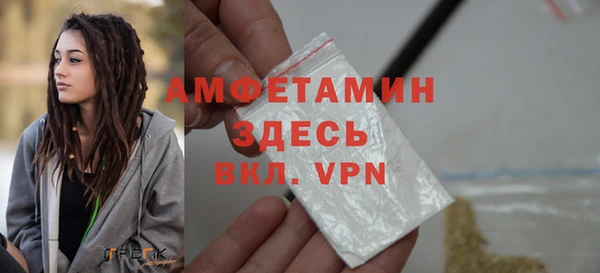 прущие грибы Вязники