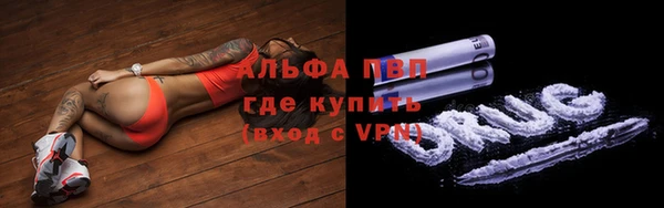прущие грибы Вязники