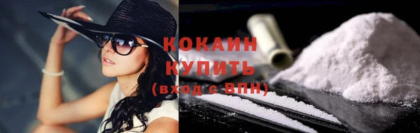 стаф Вяземский