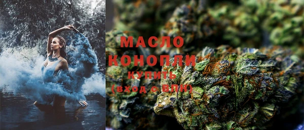 стаф Вяземский