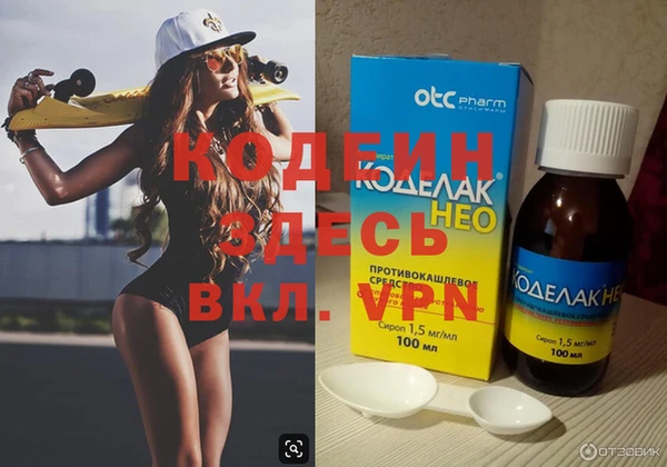 прущие грибы Вязники