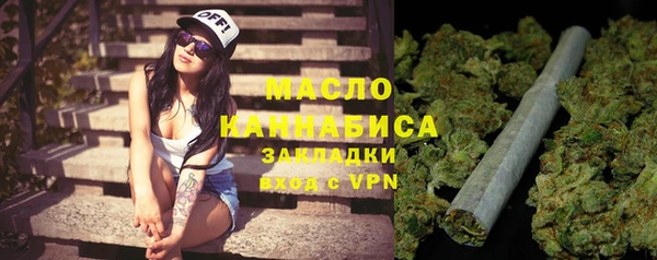 прущие грибы Вязники
