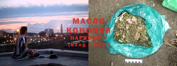 стаф Вяземский