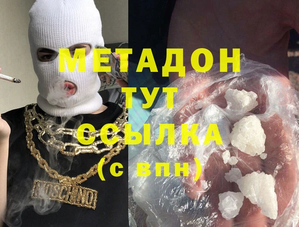 прущие грибы Вязники
