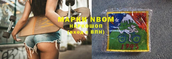 прущие грибы Вязники