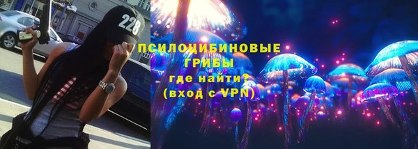 стаф Вяземский