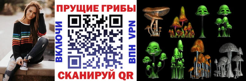 Купить закладки  Кстово  Псилоцибиновые грибы GOLDEN TEACHER 